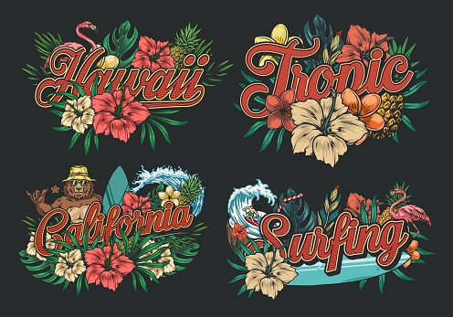 Summer surfing vintage colorful labels with pink flamingos pineapples funny bear surfer surfboard exotic leaves and flowers man riding wave in coconut with straw isolated. vector illustration