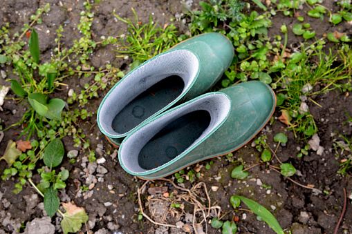 new green rubber boots in a garden image