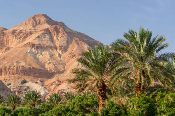 istock Dead Sea, Israel Mountains 1312822048