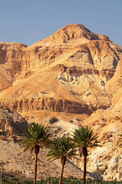 istock Dead Sea, Israel Mountains 1312822083