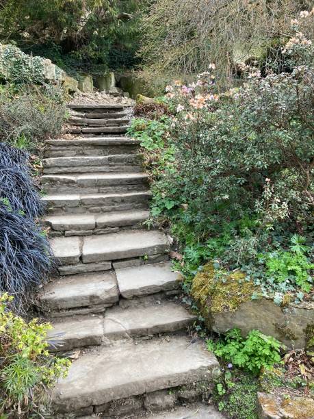 istock Stepping stones in parkland 1312823576