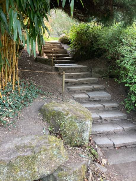 istock Stepping stones in parkland 1312823581