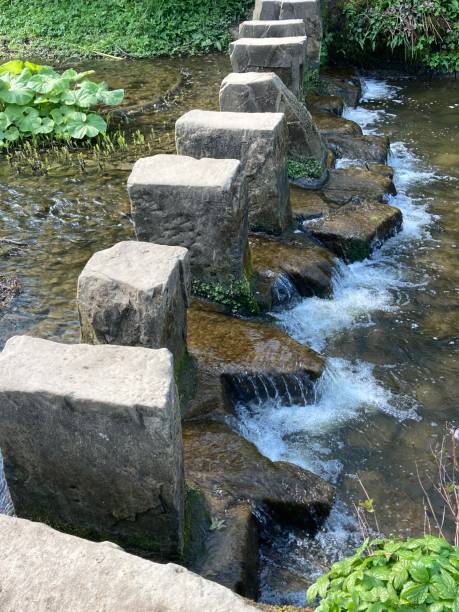 istock Stepping stones in parkland 1312823642