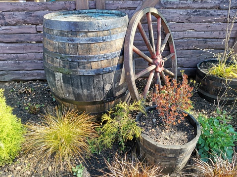 Old barrel and wagon wheel in a garden