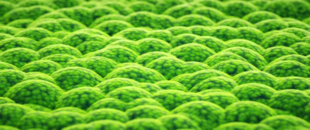 Photo of Low angle view on a cellular microscopic green surface