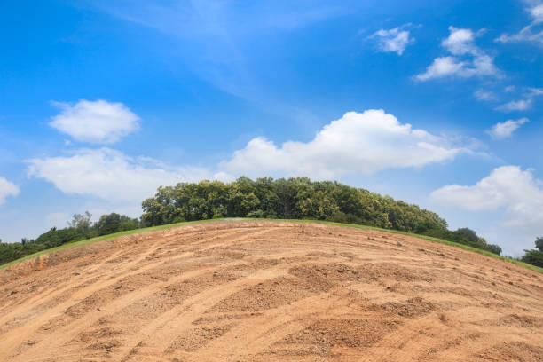 istock Empty dry cracked swamp reclamation soil, land plot for housing construction project with car tire print in rural area and beautiful blue sky with fresh air Land for sales landscape concept 1312827044