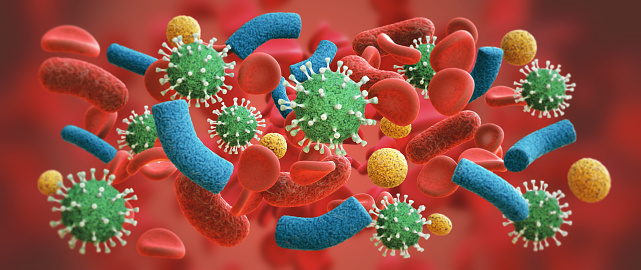 Wide composition of various virus cell shapes inside blood plasma