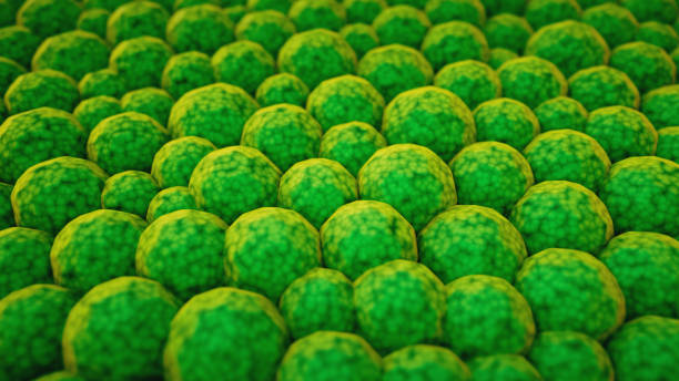 istock Low angle close-up on textured green cells, tightly grouped in a honeycomb structure 1312827856