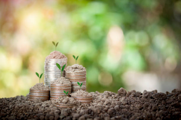 Coins stacking on soil and plant is growing on top for concept saving money, energy, plan for life, education, home, school, income for your family on bokeh background.