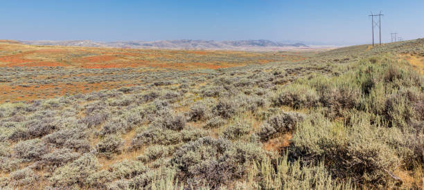 istock Power line, with poles and cables, on the prairie 1312829462