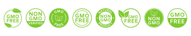 Non GMO labels. GMO free icons. Healthy organic food concept. No GMO design elements for tags, product packag, food symbol, emblems, stickers. Eco, vegan, bio. Vector illustration Non GMO labels. GMO free icons. Healthy organic food concept. No GMO design elements for tags, product packag, food symbol, emblems, stickers. Eco, vegan, bio. Vector illustration. probiotic pattern stock illustrations