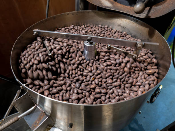 istock Cocoa Bean Roasting, stirring hot skillet on stove toasting whole cocoa beans. 1312830576