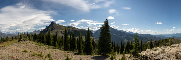istock Panorama from Mt. Brown Fire Tower Lookout 1312834763