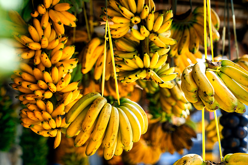 Open air fruit market with bananas