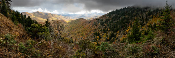 nuvens de chuva gater sobre arbustos gnarly vista cores de queda no vale - panoramic great appalachian valley the americas north america - fotografias e filmes do acervo