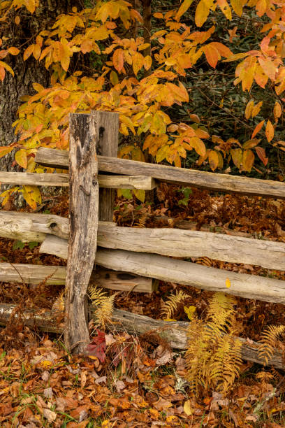 istock Split Rail Fence Post and Golden Leaves 1312835072