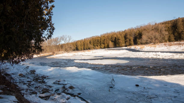 istock Landscape with water, brown trees, blue sky. London, Canada. 1312835145