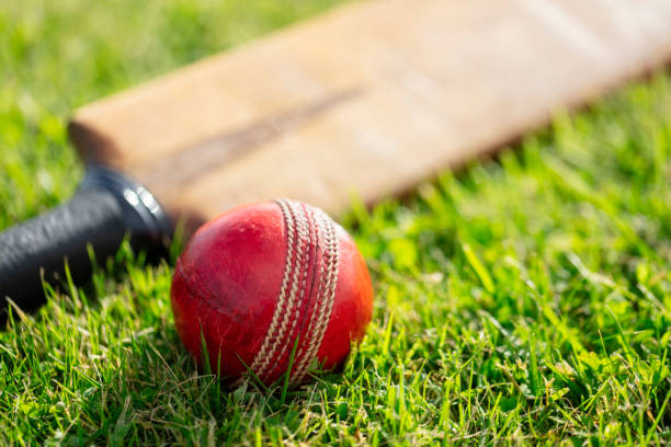 Cricket bat and ball on cricket pitch Cricket ball and cricket bat on green grass of cricket pitch cricket stock pictures, royalty-free photos & images