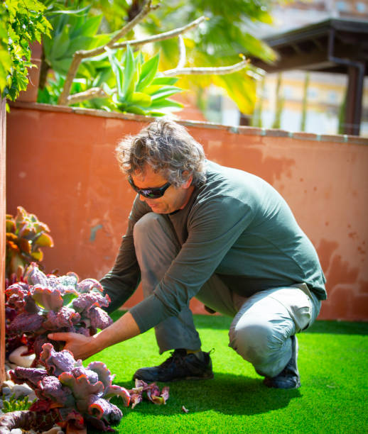 istock gardener trimming plants on a sunny day 1312836205