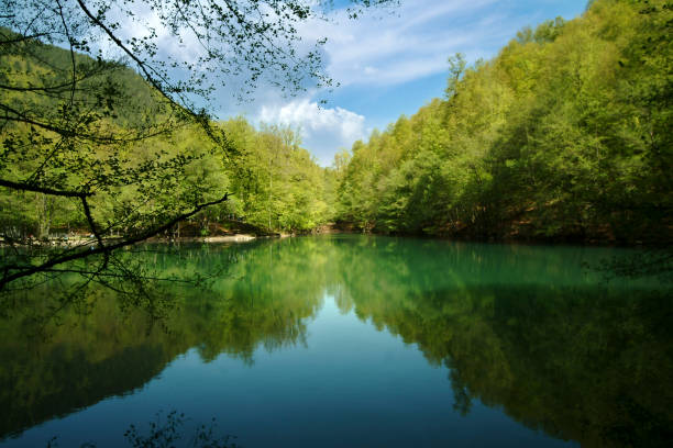 istock Beautiful lake in Bolu ( Seven Lakes ) Turkey 1312837100