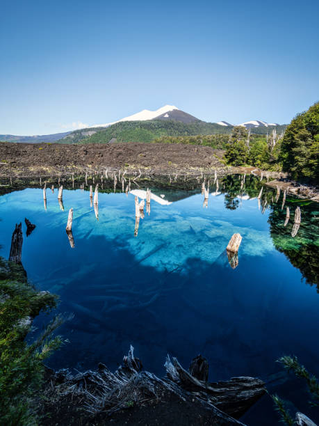 llaima volcano from arcoiris lake in conguillio national park - woods reflection famous place standing water imagens e fotografias de stock