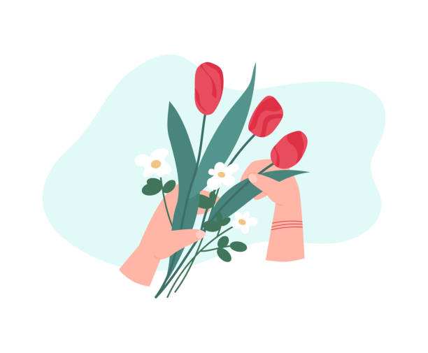 ilustraciones, imágenes clip art, dibujos animados e iconos de stock de manos humanas arreglando ramo de flores, ilustración vectorial plana aislada. - florist flower gardening store