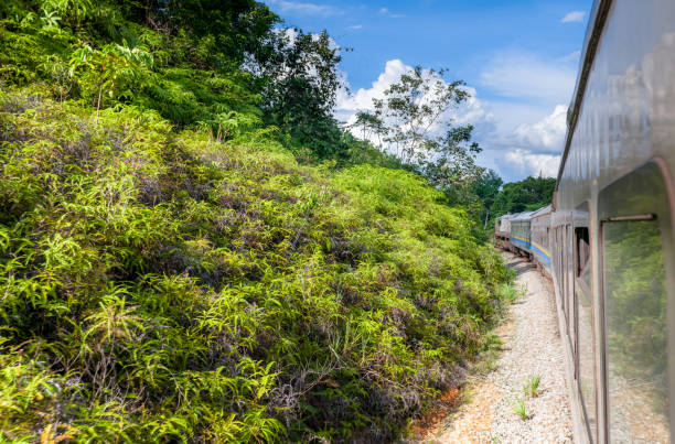 istock Malaysia Jungle Railway journey 1312839600