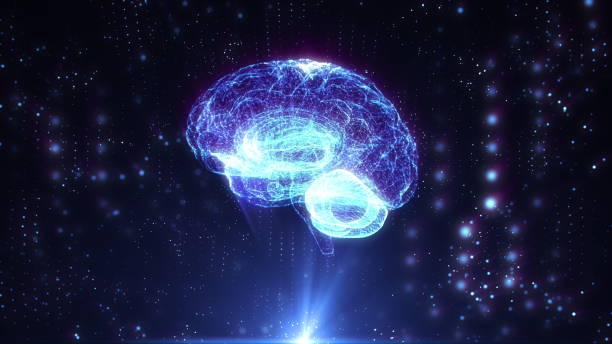 istock Holographic human brain rotating in virtual space, X-rays futuristic technologies 1312841351