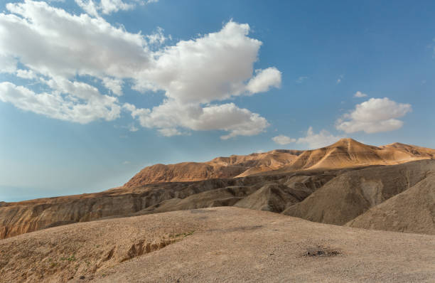 istock canyon of the OG riverbed at dawn 1312842335