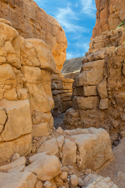 istock canyon of the OG riverbed at dawn 1312843156
