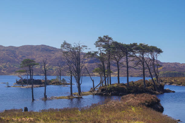 istock Loch Assynt in the Scottish highlands 1312847704