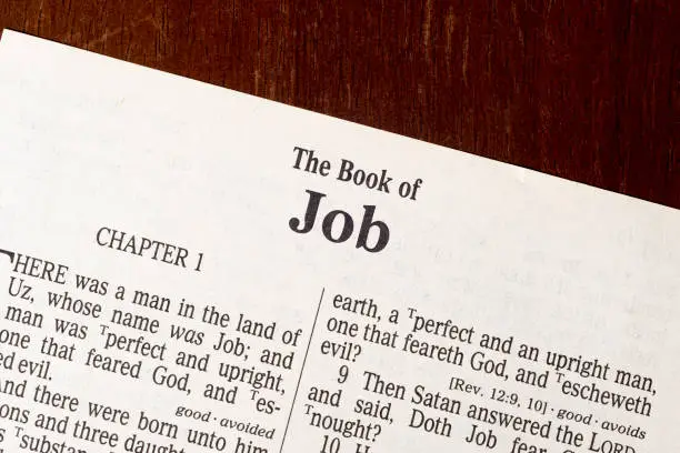 This is the King James Bible translated in 1611.  There is no copyright.  Close-Up Photo of Title Page of Book of Job