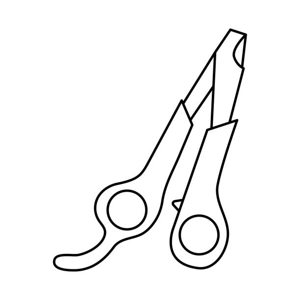 Pet nail clippers accessory in doodle style. Animal care icon isolated on white background. Vector hand drawing illustration. Pet nail clippers accessory in doodle style. Animal care icon isolated on white background. Vector hand drawing illustration scissors cutting wrapping paper stock illustrations