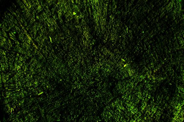 istock Background texture. Abstract background of dark green color 1312853904