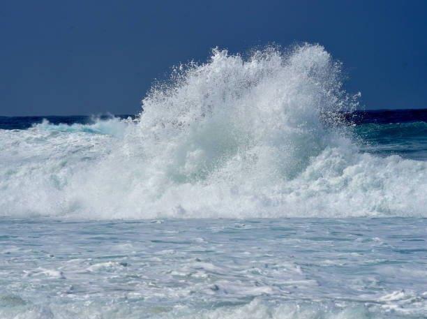 istock Big Surf in Big Sur, California 1312855906
