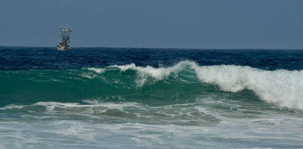istock Big Surf in Big Sur, California 1312855950