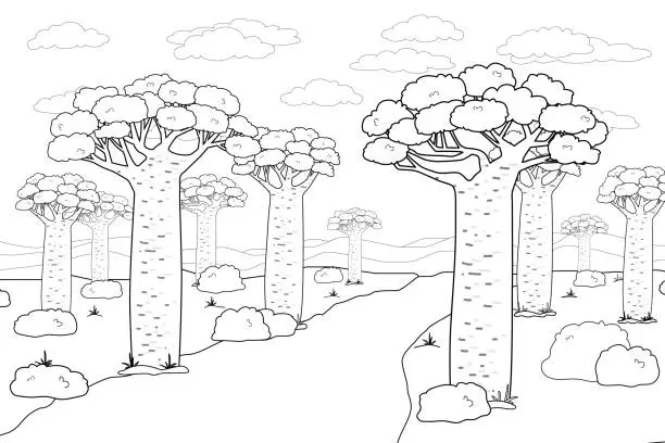 Vector illustration of Black white vector outline African Madagascar baobab street or avenue. Doodle cartoon hand drawn landscape illustration of trees, sky, road, African plants, bushes, clouds, grass for coloring book