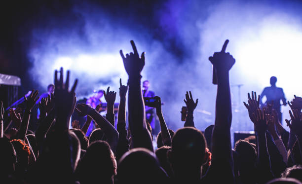 silhouette eines mannes händeint in der luft in einer konzertmenge - konzert stock-fotos und bilder