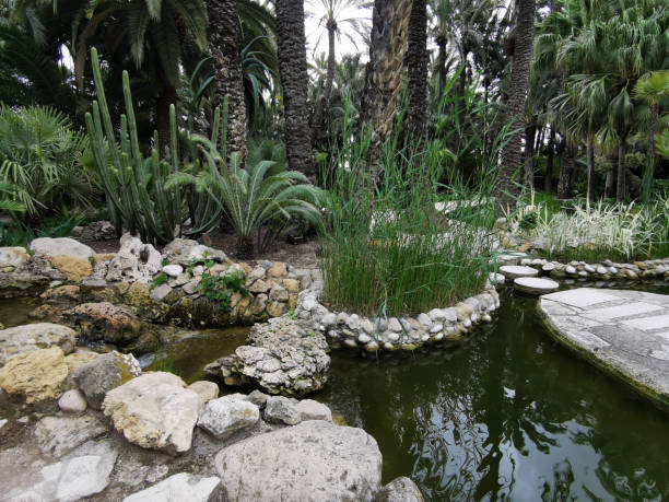 istock small pond on a summer day in the garden 1312862251
