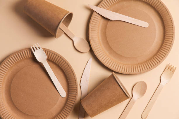 istock A set of disposable paper picnic tableware. 1312864112