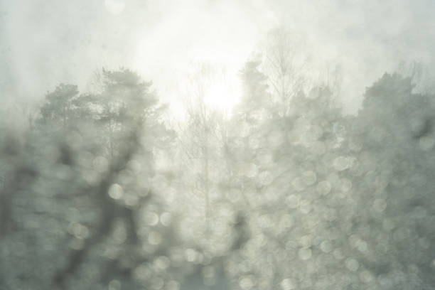 Close-up of abstract misty blurred forest through dirty window, sun shining. Grey depressing autumn or winter weather. Concept of seasonal change, nature, travel concept