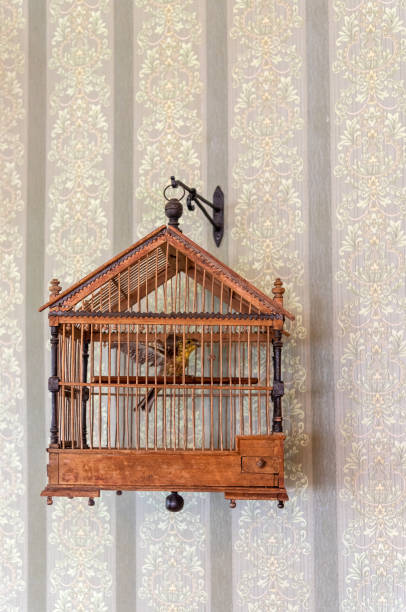 istock Brown cage looks as art masterpiece 1312864939