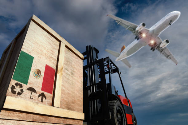 istock Airplane and cargo on forklift trucke 1312865701