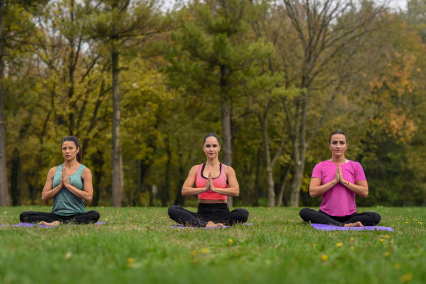 istock Three young woman meditating in the park. 1312867992