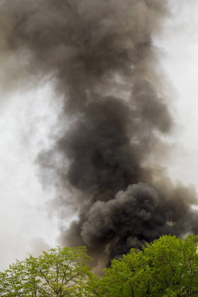 istock black smoke trail of forest fire 1312869820