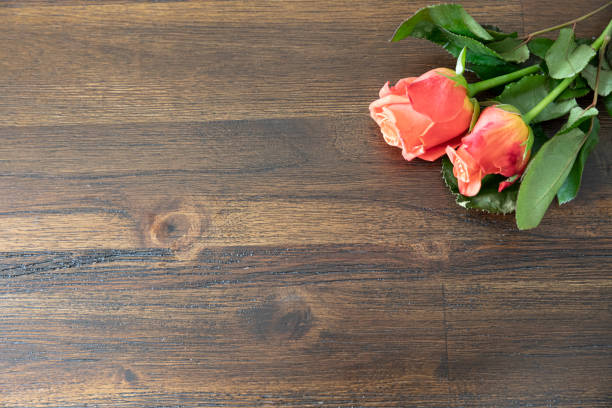 Free Stock Photo of Two Pink Roses on Table | Download Free Images and ...