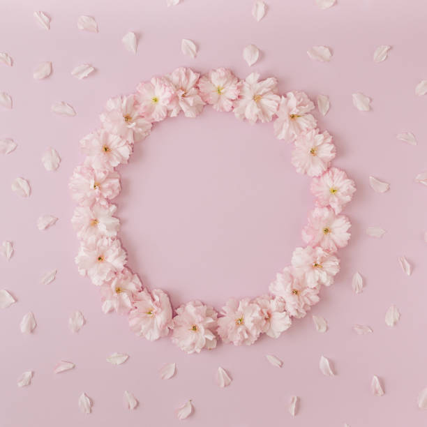 istock Creative round wreath frame made of flowers on pink background. Flat lay composition. Nature love concept. 1312873271