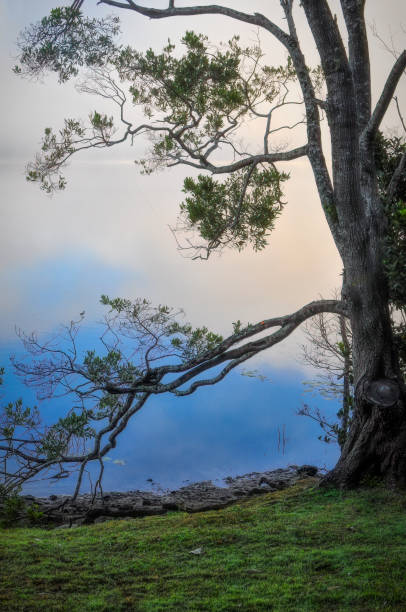 istock Lake Baroon in Montville 1312876498