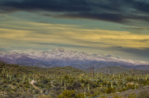 Arizona desert landscape with saguaro cactus at sunset with snow covered mountains near Phoenix, Arizona