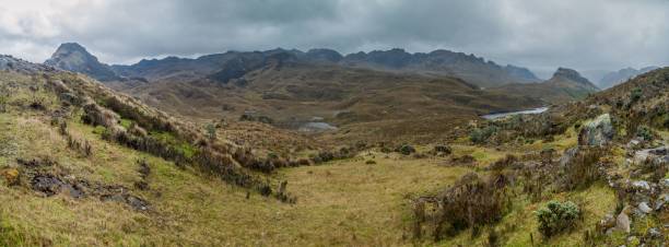 istock Panorama of National Park Cajas, Ecuador 1312881492